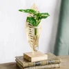 LA GREEN TOUCH - Bouture de monstera et sa feuille dorée
