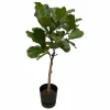 LA GREEN TOUCH - Ficus lyrata et son pot noir + reservoir - hauteur 160cm