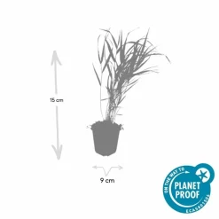 LA GREEN TOUCH - Herbe du japon x20 – entre 1,25 et 1,67m2