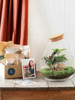 LA GREEN TOUCH - Kit terrarium diy - doorn calathéa + caféier + fittonia - sans outil