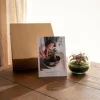 LA GREEN TOUCH - Kit terrarium diy - bohol