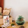 LA GREEN TOUCH - Kit terrarium diy - dome asparagus/fittonia rouge - rateau + pelle