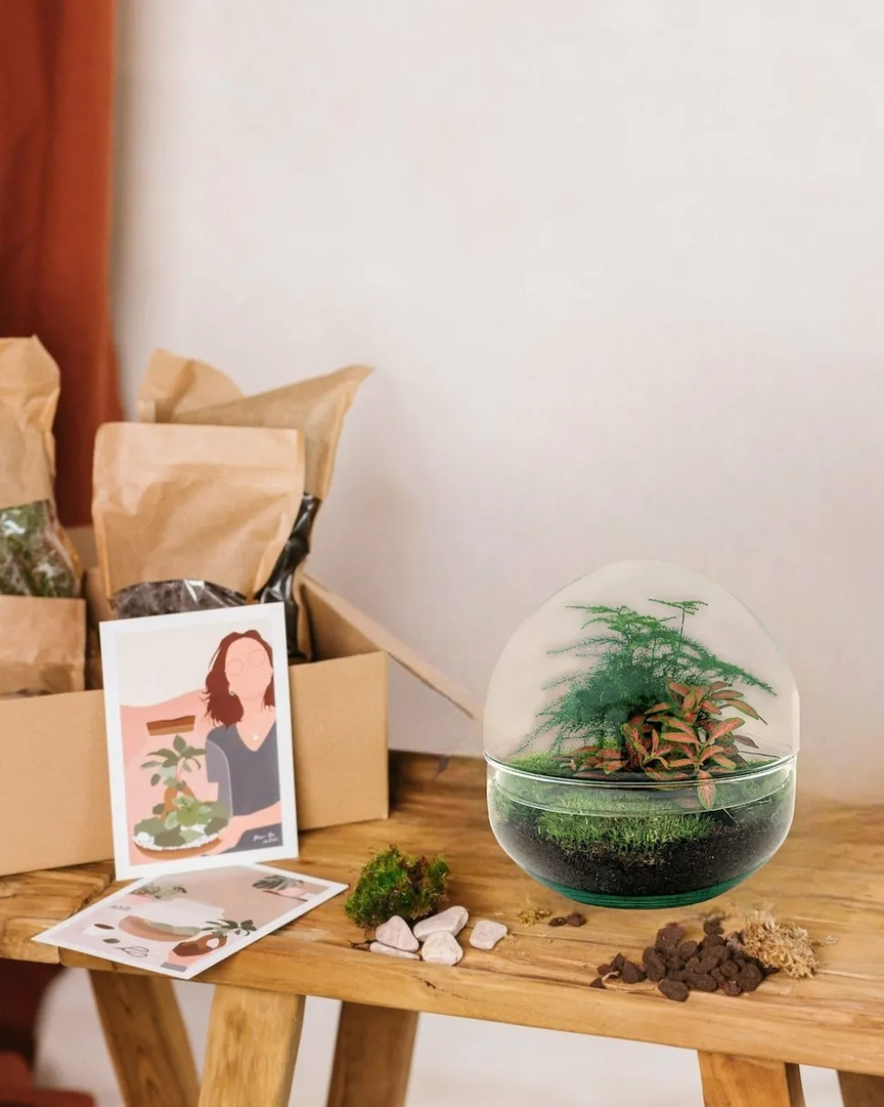 LA GREEN TOUCH - Kit terrarium diy - dome asparagus/fittonia rouge - rateau + pelle + pince