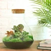 LA GREEN TOUCH - Kit terrarium diy - samos sans led calathea + fittonia rouge et verte - sans outil