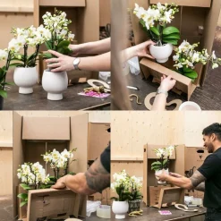 LA GREEN TOUCH - Kolibri company - ensemble orchidée blanche et succulente sur plateau doré
