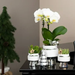 LA GREEN TOUCH - Le chic : pot en céramique blanche argentée