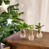 LA GREEN TOUCH - Lima - trio de plantes en hydroculture