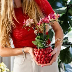 LA GREEN TOUCH - Offre spéciale : 4 orchidées phalaenopsis rouges congo cm - plante d'intérieur