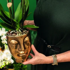 LA GREEN TOUCH - Orchidée pourpre et son cache-pot couleur or - plante d'intérieur fleurie 35cm - plante d'intérieur