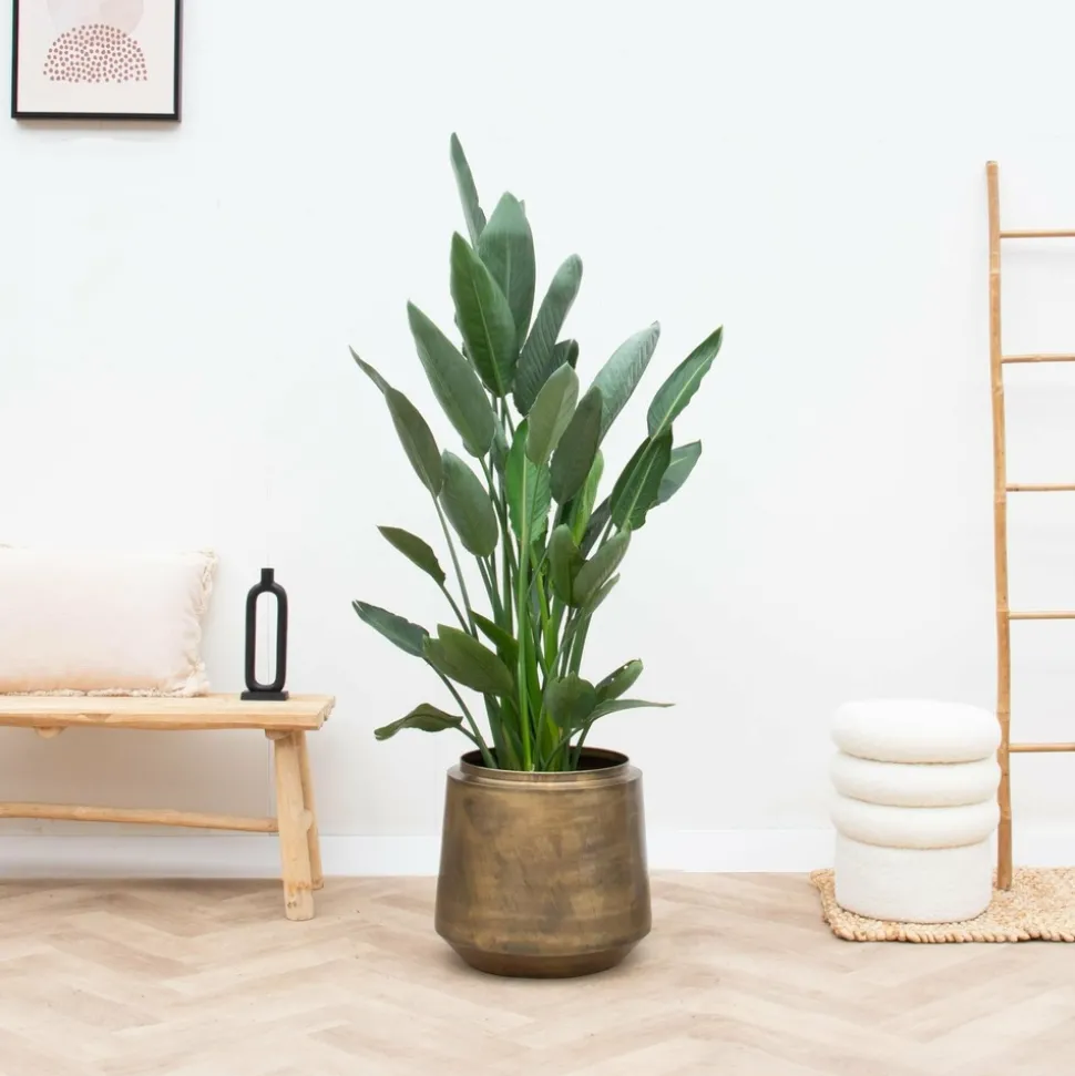 LA GREEN TOUCH - Pot indigo vintage or 46 cm