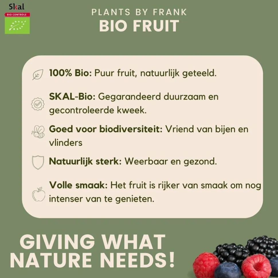 LA GREEN TOUCH - Set bio de 5 plantes fruitières