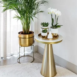 LA GREEN TOUCH - Set de plantes luxury gold - set de plantes vertes orchidée phalaenopsis blanche et succulentes
