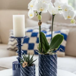 LA GREEN TOUCH - Set orchidée phalaenopsis blanche et haworthia en pots candy