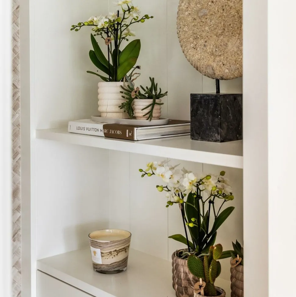 LA GREEN TOUCH - Sierpot en céramique marble light