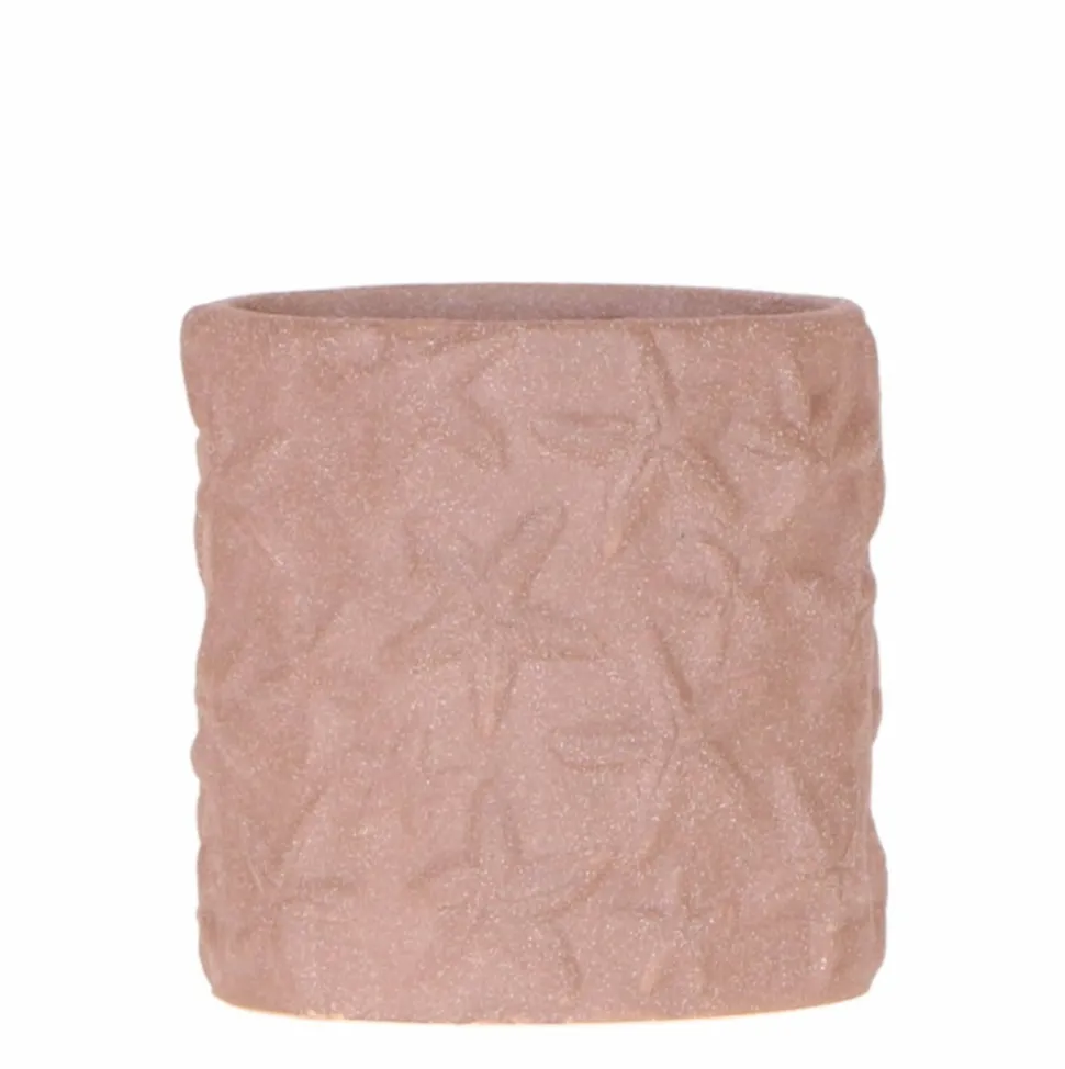 LA GREEN TOUCH - Sierpot star fish marron