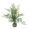 LABEO - Plante artificielle pour aquarium, arbre lentille fine - H.27cm