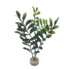 LABEO - Plante artificielle pour aquarium, arbre à longues feuilles - H.22cm