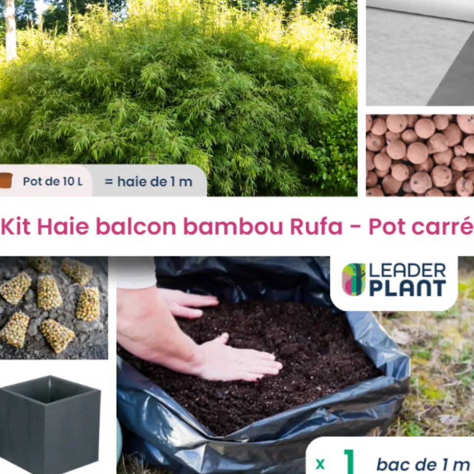 LEADERPLANT - Kit bambou rufa 10l avec bac pour balcon