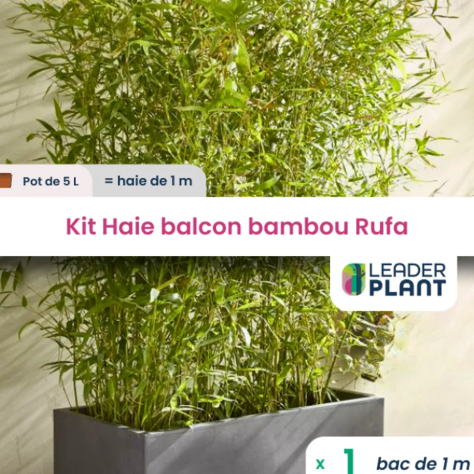 LEADERPLANT - Kit brise-vue balcon bambou rufa 5 l