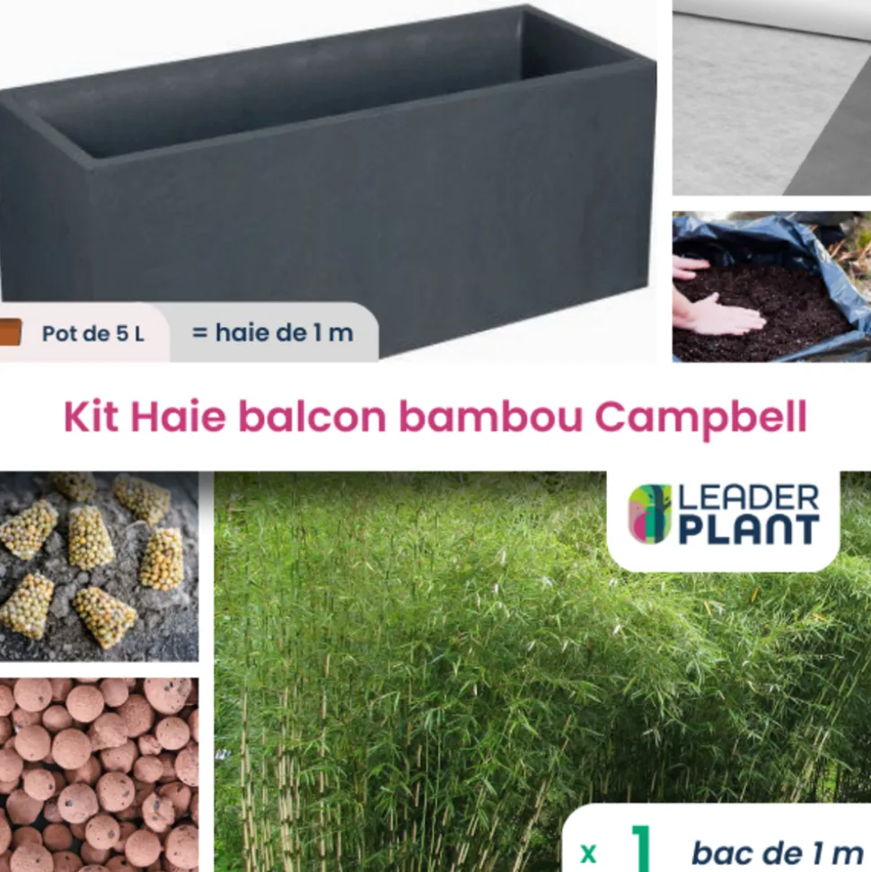 LEADERPLANT - Kit brise-vue balcon bambou campbell 5 l