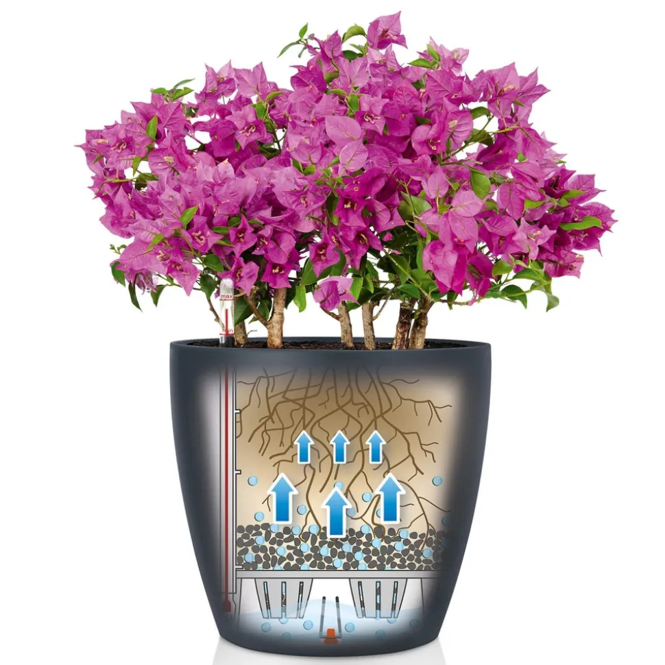 LECHUZA - Pot Classico Color en polypropylène, blanc D35 x H. 33 cm