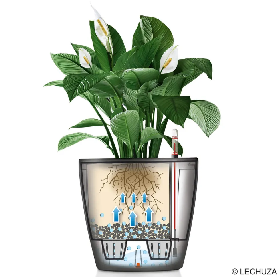 LECHUZA - Pot Classico Premium LS, coloris anthracite métallisé D.21cm