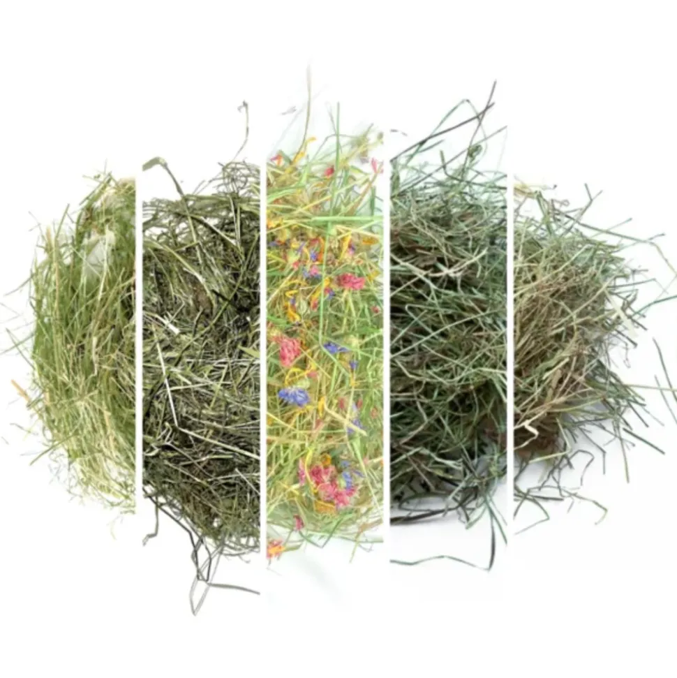 L'EDEN DES PATTOUNES - Box foins