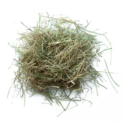 L'EDEN DES PATTOUNES - Foin de prairie pour lapins et rongeurs - 10 kg