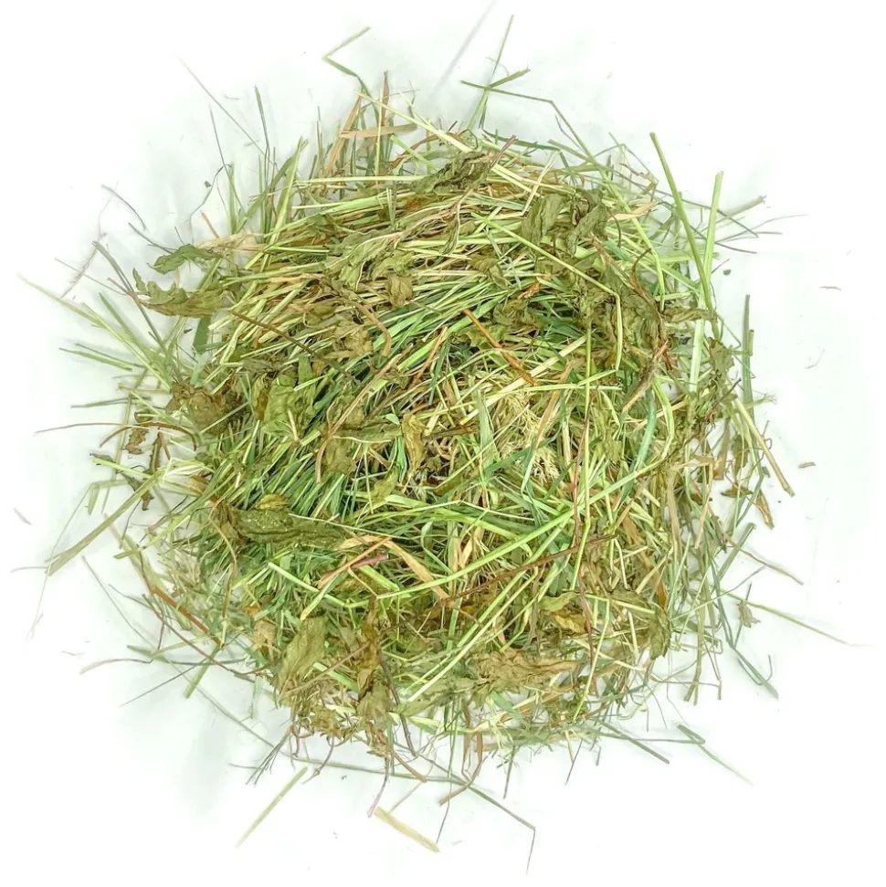 L'EDEN DES PATTOUNES - Foin aromatisé à la coriandre pour lapins et rongeurs