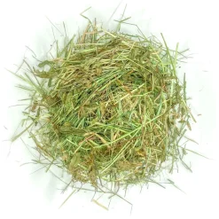 L'EDEN DES PATTOUNES - Foin aromatisé aux feuilles de noisetier pour lapins et rongeurs
