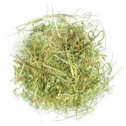 L'EDEN DES PATTOUNES - Foin aromatisé aux feuilles de mûrier pour lapins et rongeurs
