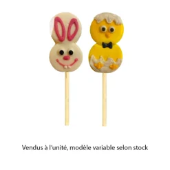 LES GOURMANDISES DE SOPHIE - Brochette guimauve/chocolat 30g : Marine la lapine, Marin le poussin
