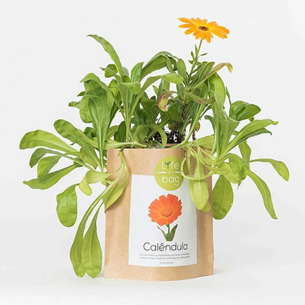 LIFE IN A BAG - Sac papier prêt à cultiver calendula