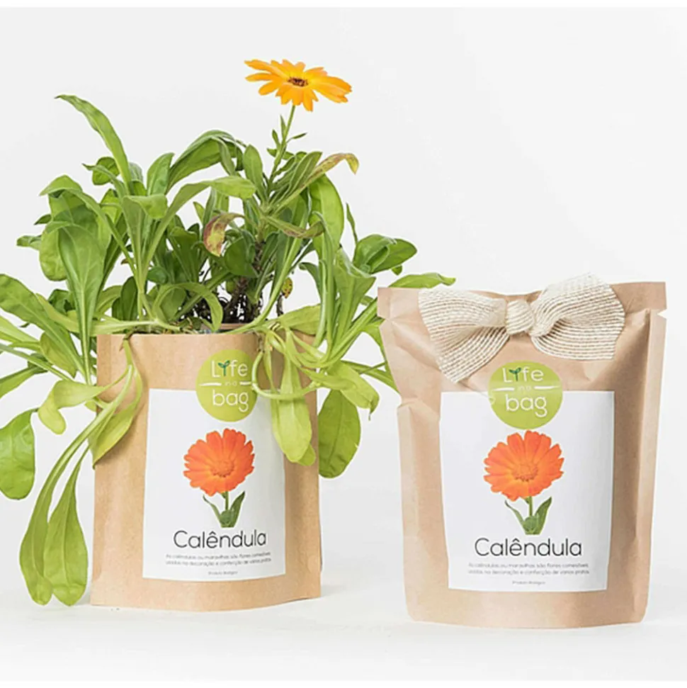 LIFE IN A BAG - Sac papier prêt à cultiver calendula