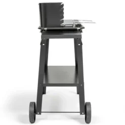 LIVOO - Livoo barbecue à charbon 48.5 x 28.8cm - doc328