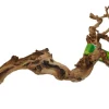 LUCKY REPTILE - Bois de vigne - grapevine - medium 40-70 cm - décoration pour terrarium destiné aux reptiles (lézards, serpents, tortues), amphi