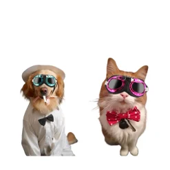 Lunettes de soleil pour animaux mcboson, monture bleue, verres gris