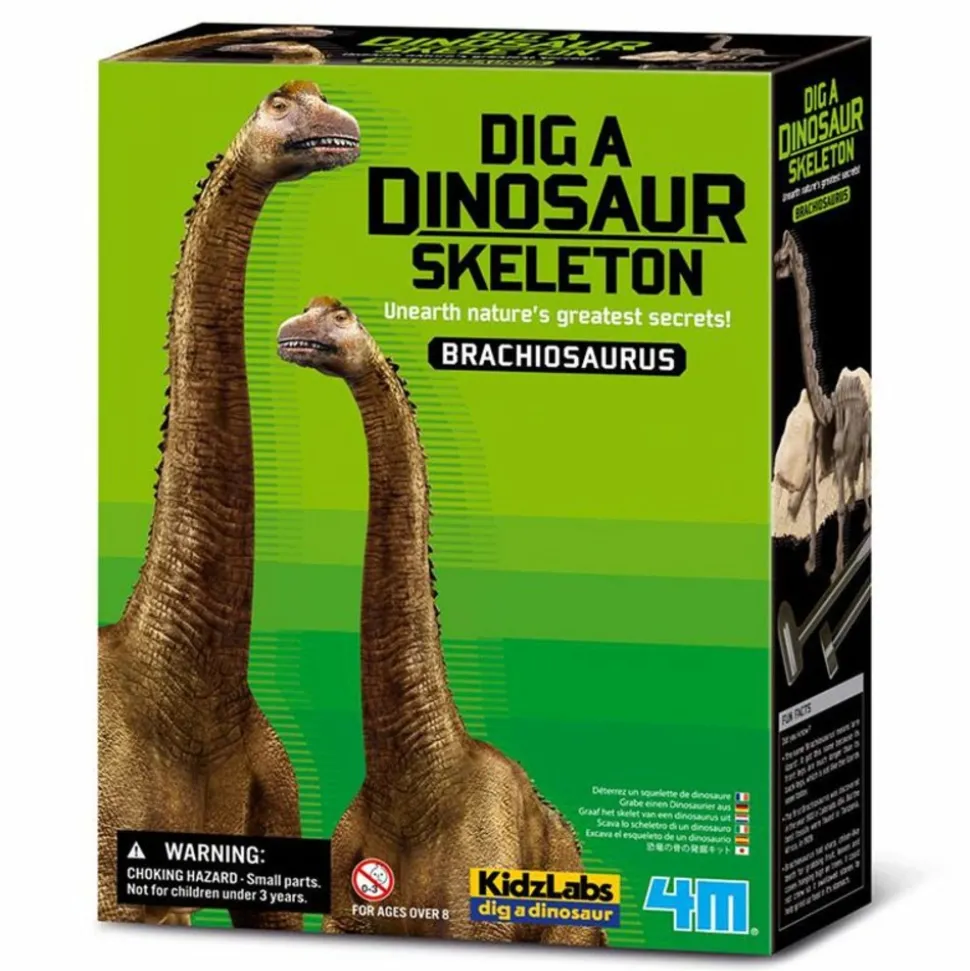 4M - Coffret découverte de la science - déterre ton brachiosaure