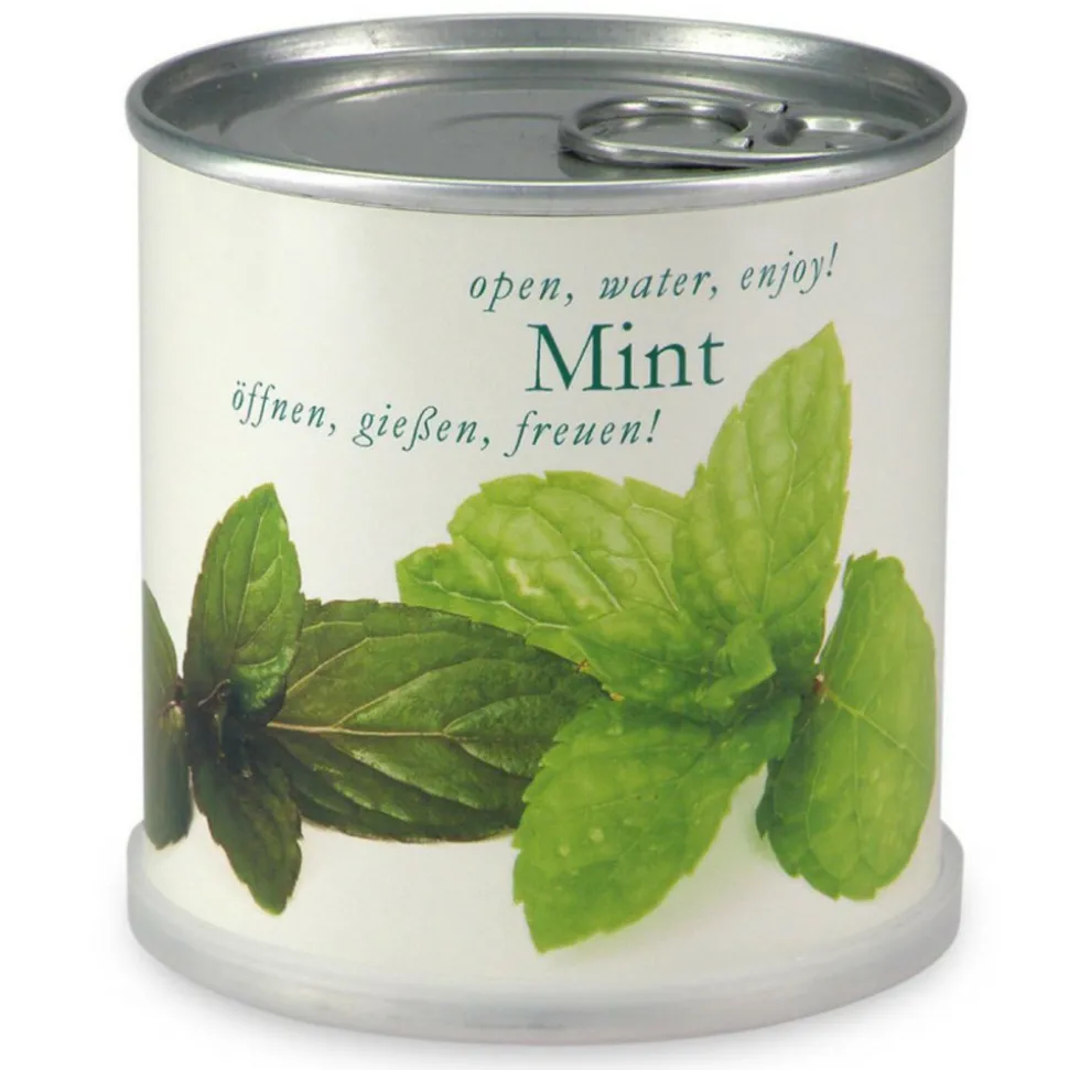MAC FLOWER'S - Menthe à faire pousser en boite