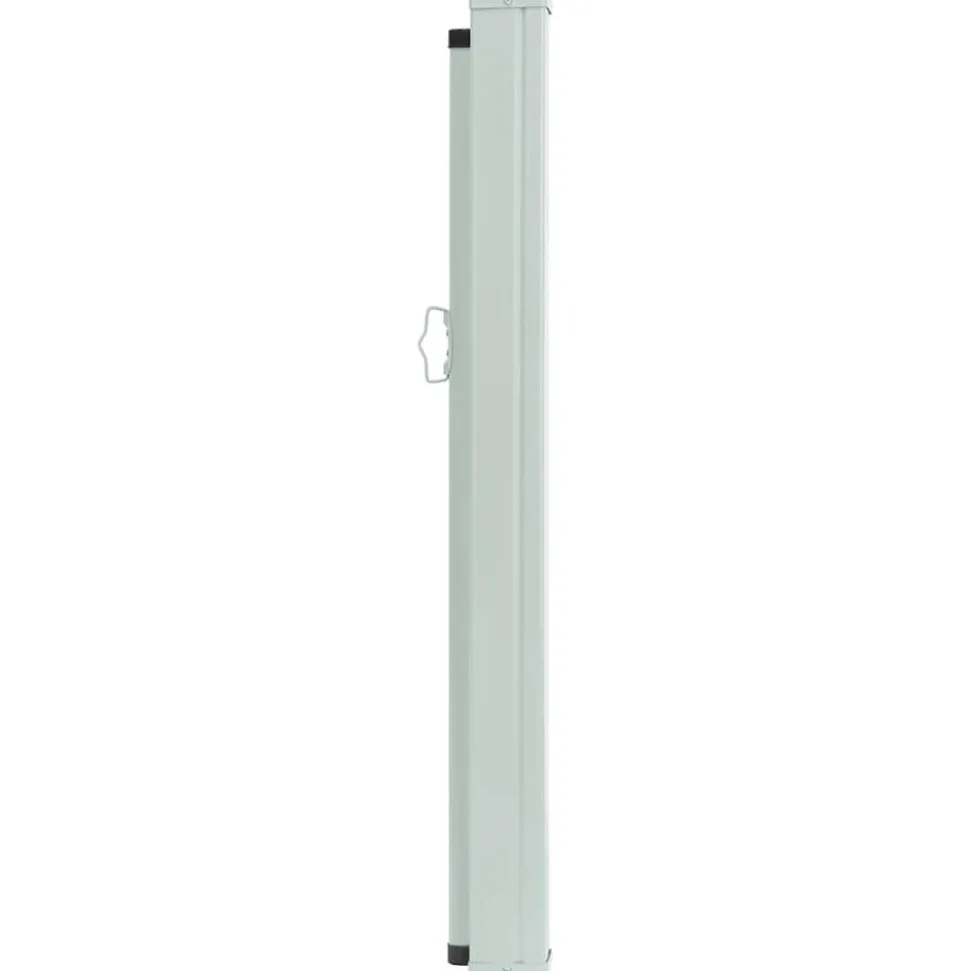MAISON EXCLUSIVE - Auvent latéral rétractable de patio 100x300 cm marron