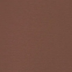 MAISON EXCLUSIVE - Auvent latéral rétractable de patio 100x300 cm marron