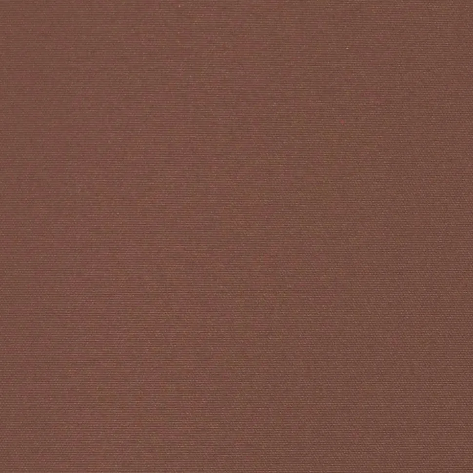 MAISON EXCLUSIVE - Auvent latéral rétractable de patio 100x300 cm marron
