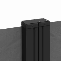 MAISON EXCLUSIVE - Auvent latéral rétractable anthracite 200x1200 cm