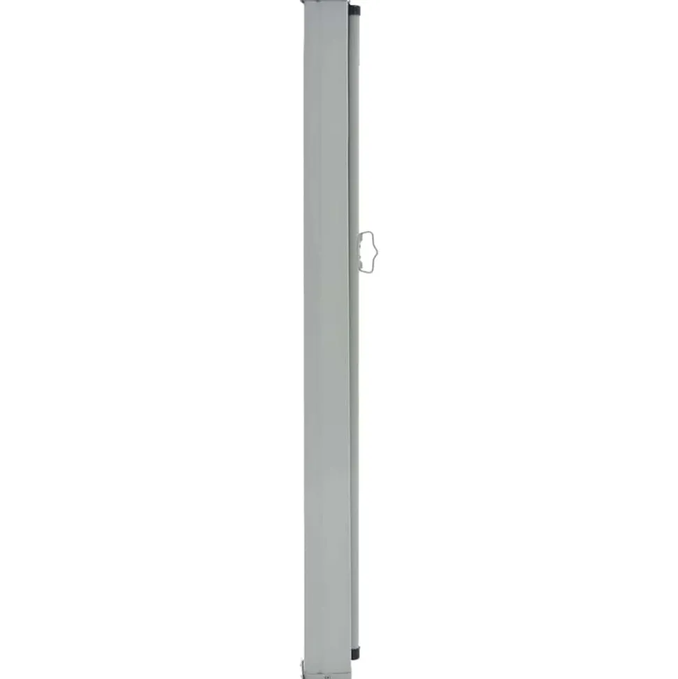 MAISON EXCLUSIVE - Auvent latéral rétractable de patio 80x300 cm noir