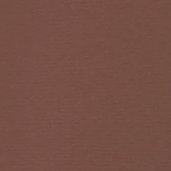 MAISON EXCLUSIVE - Auvent latéral rétractable de patio 170x300 cm marron
