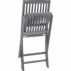 MAISON EXCLUSIVE - Chaises pliables d'extérieur lot de 2 et coussins bois d'acacia