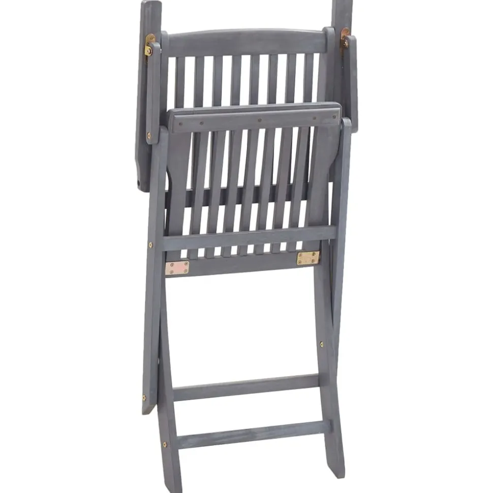 MAISON EXCLUSIVE - Chaises pliables d'extérieur lot de 2 et coussins bois d'acacia