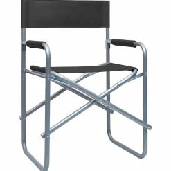MAISON EXCLUSIVE - Chaises de metteur en scène lot de 2 acier noir