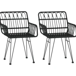 MAISON EXCLUSIVE - Chaises de jardin lot de 2 avec accoudoir noir 56x64x80 cm
