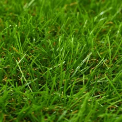 MAISON EXCLUSIVE - Gazon artificiel 1x15 m/30 mm vert